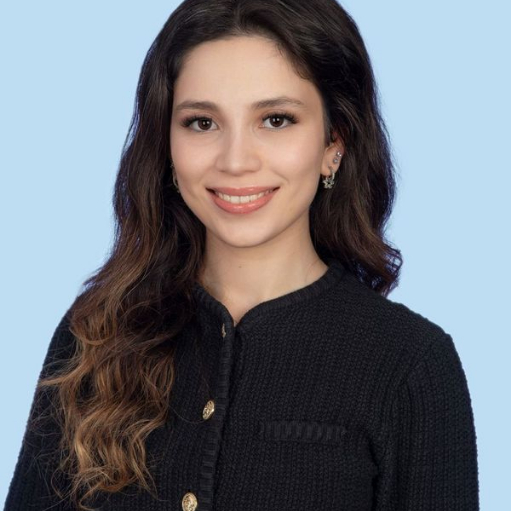 legal expert Elif Gozlugol
