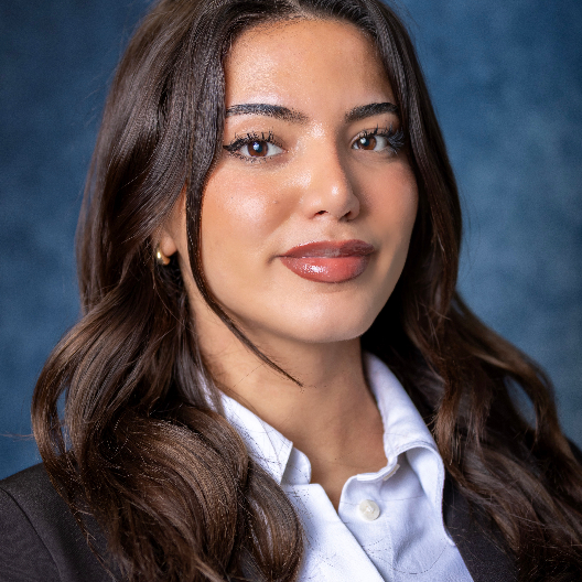 legal expert Adela Vata