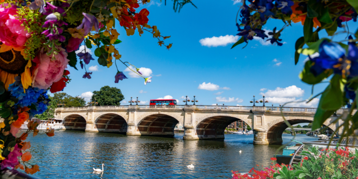Rose & Rose Solicitors LLP gallery image 1