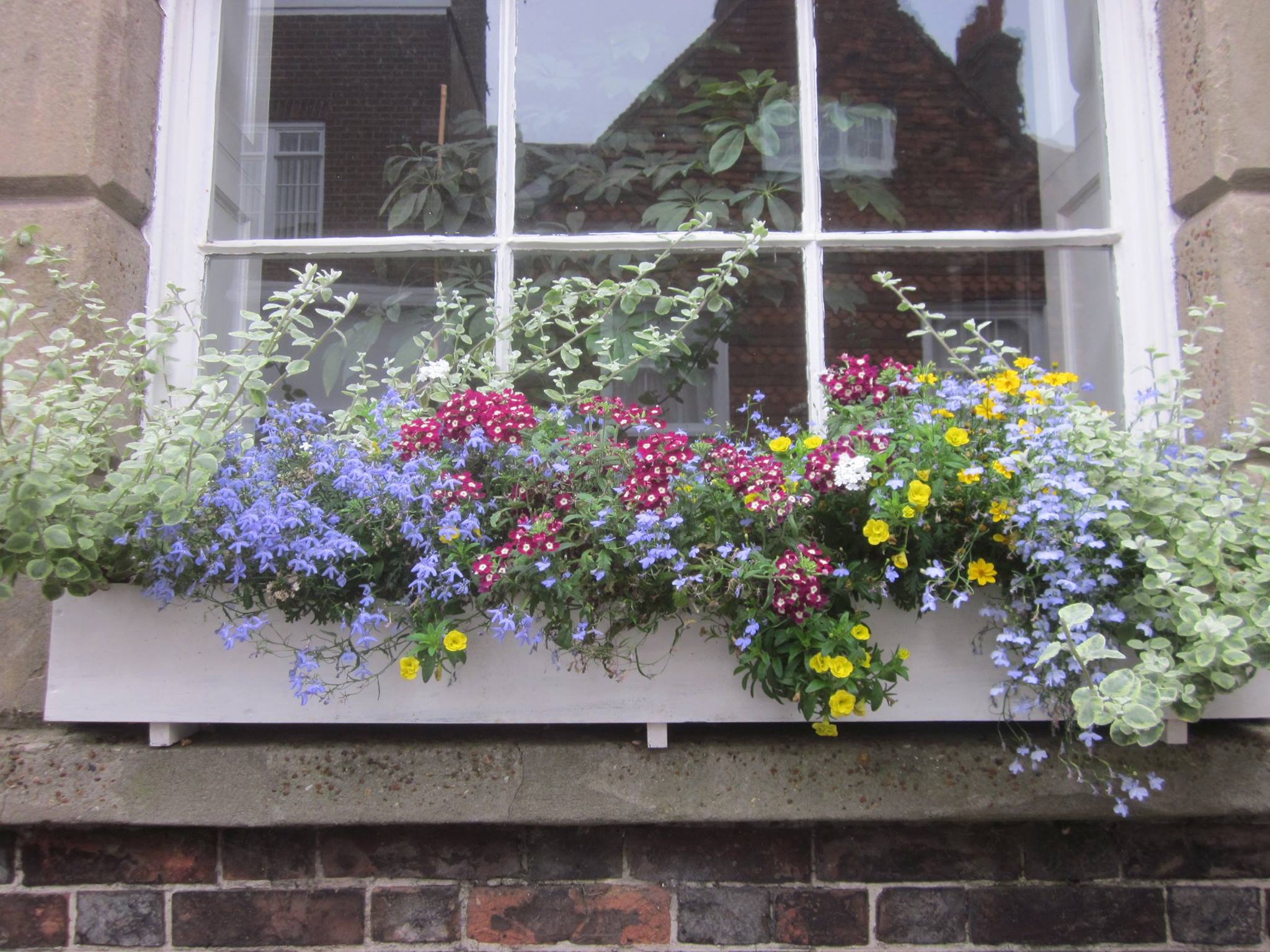 Heringtons Solicitors gallery image 3