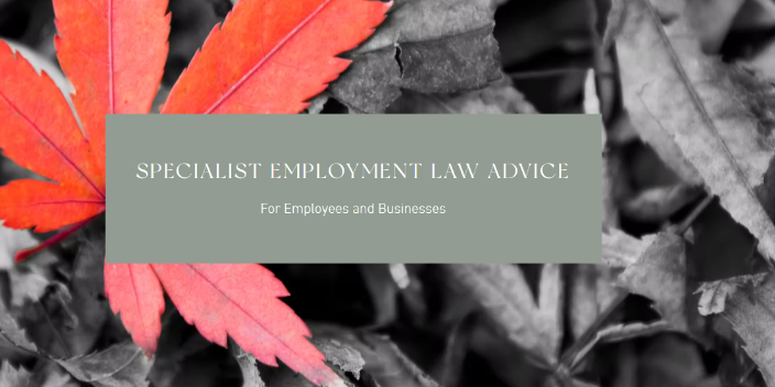 CSJ Legal Ltd gallery image 2