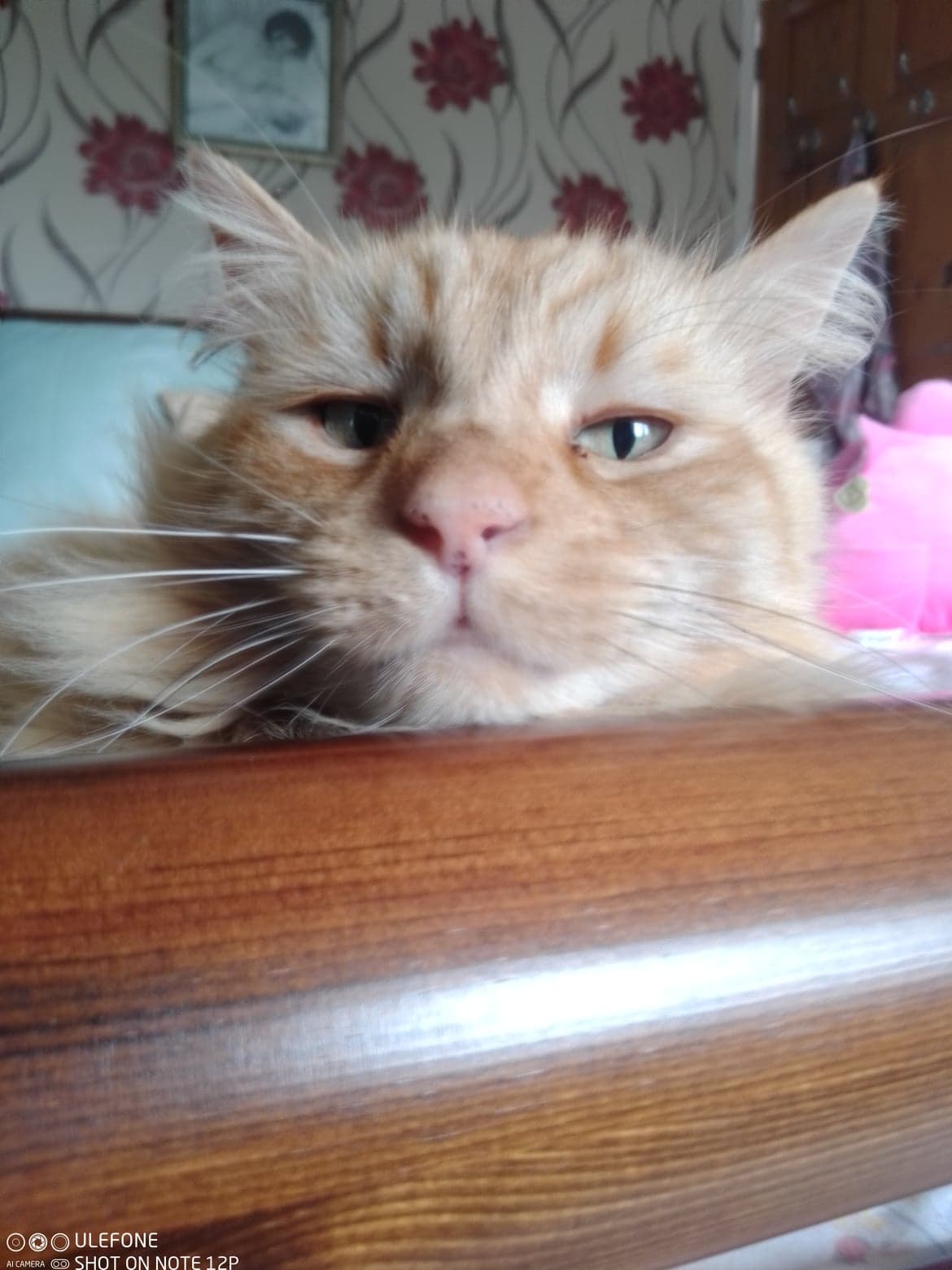 Profile image of Martin
