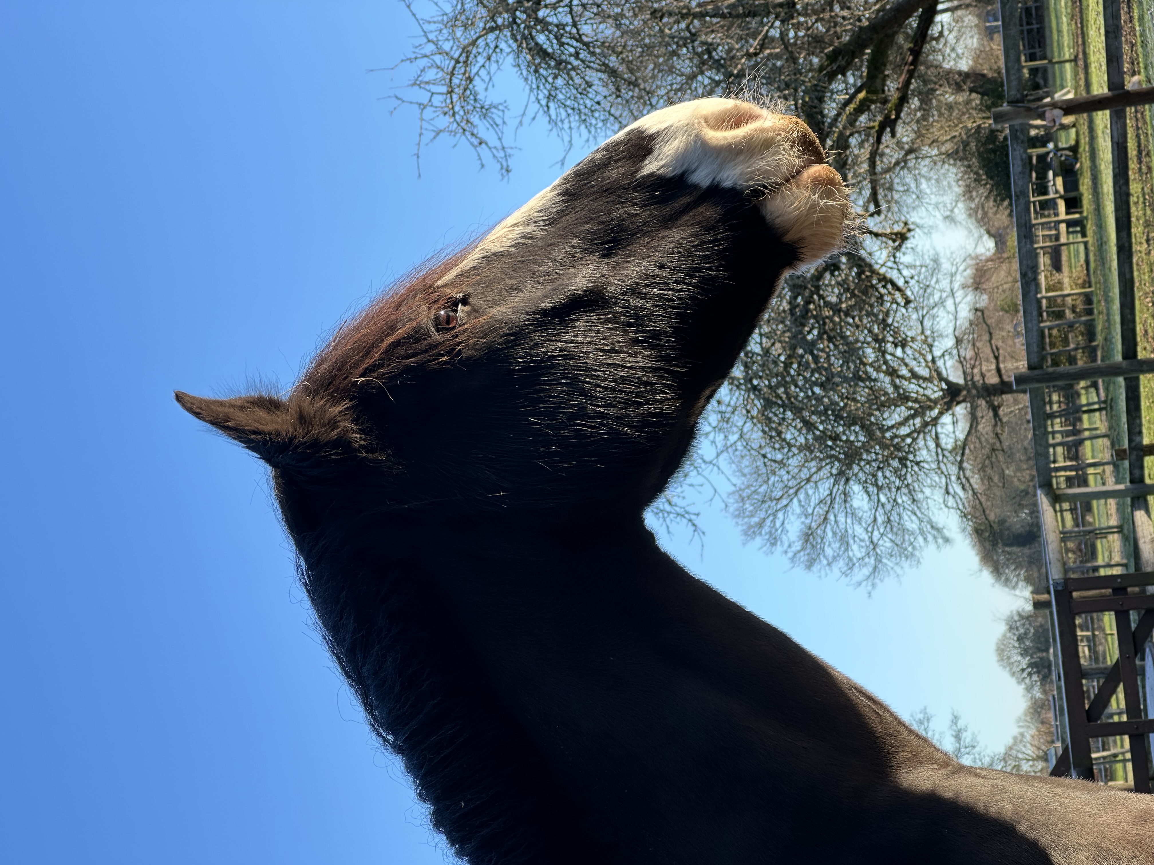 Profile image of Jack’s Auntie