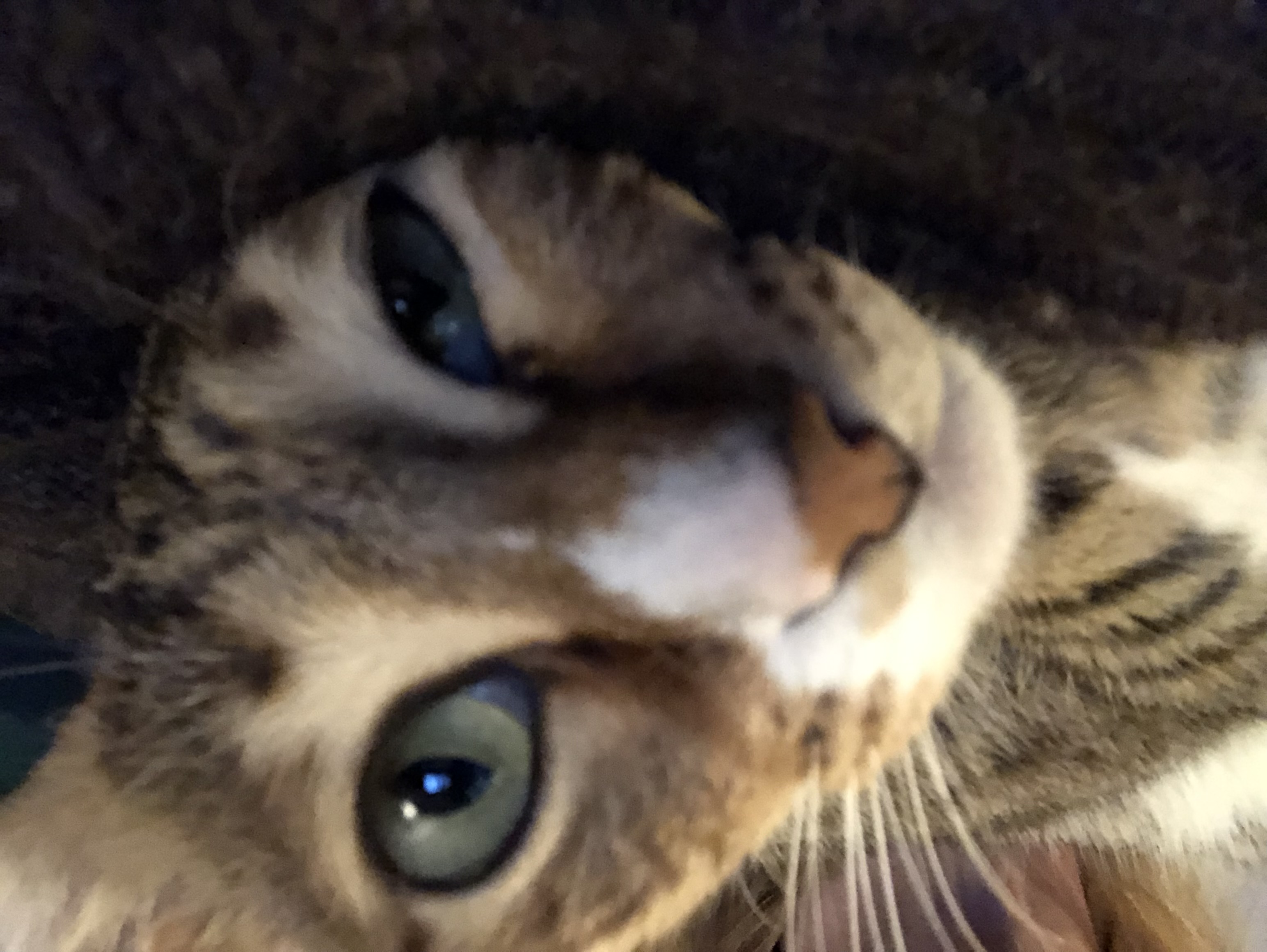 Profile image of Janine