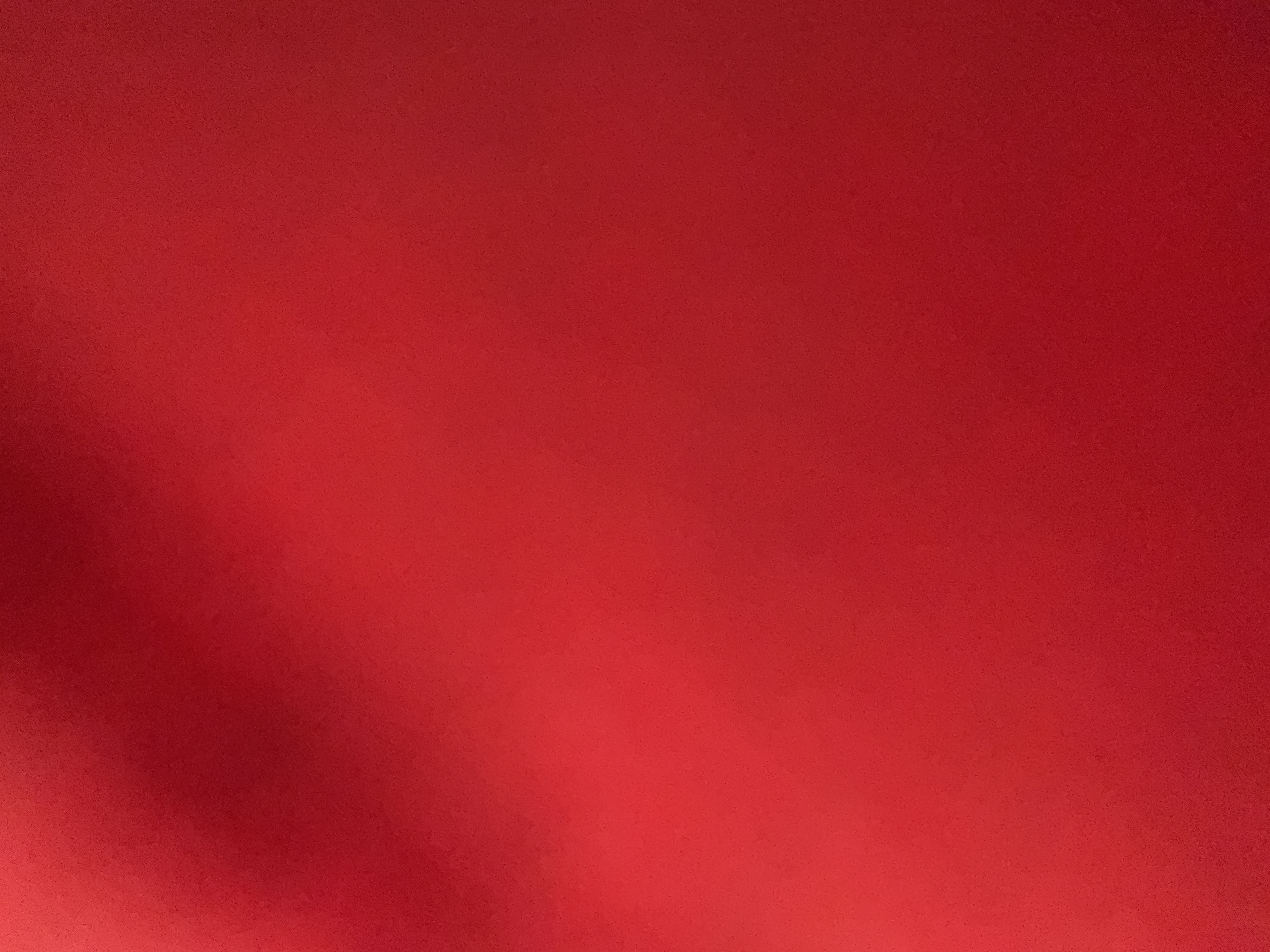 Profile image of Lorena Tafasi 