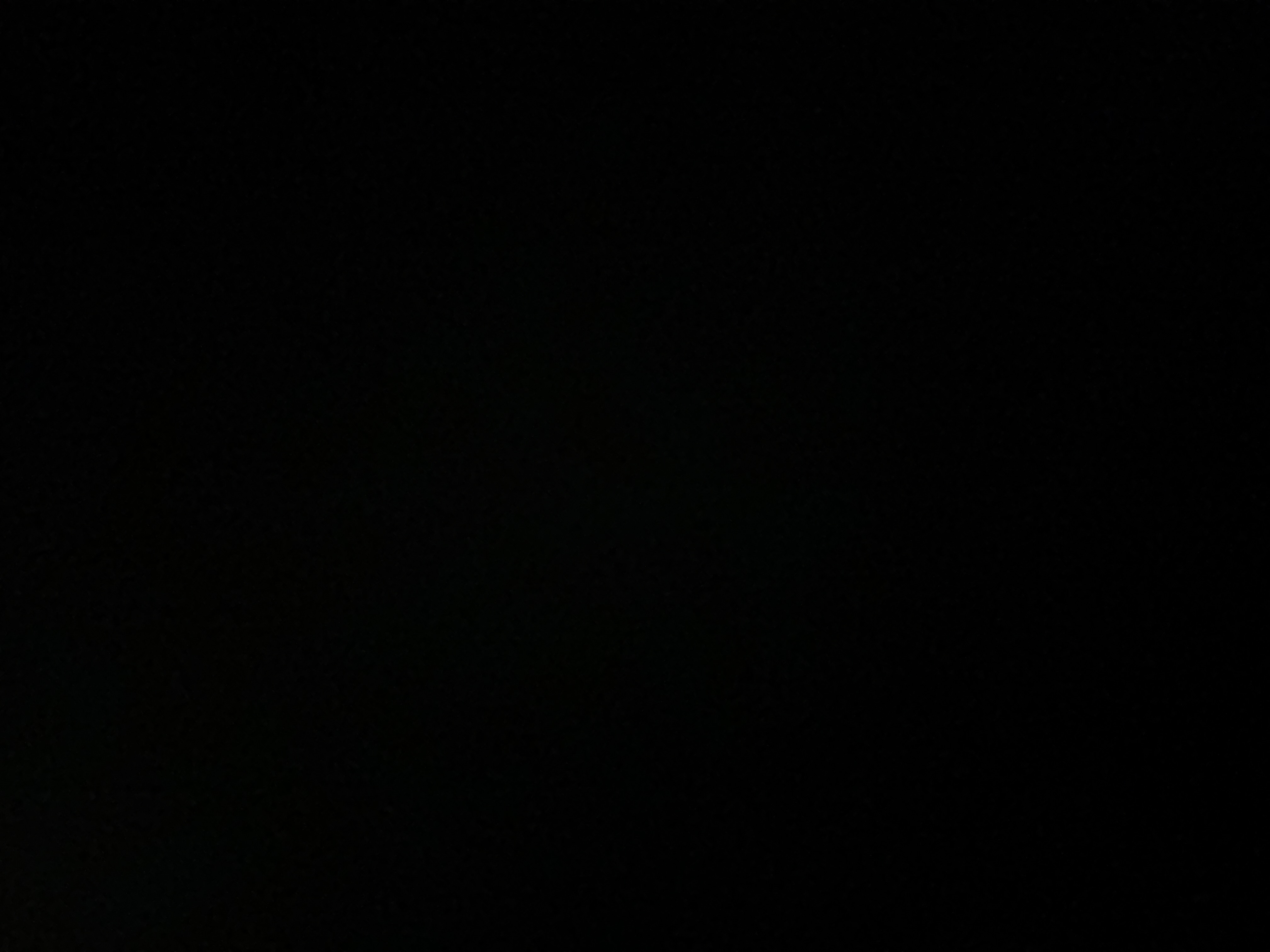 Profile image of Callum Birch