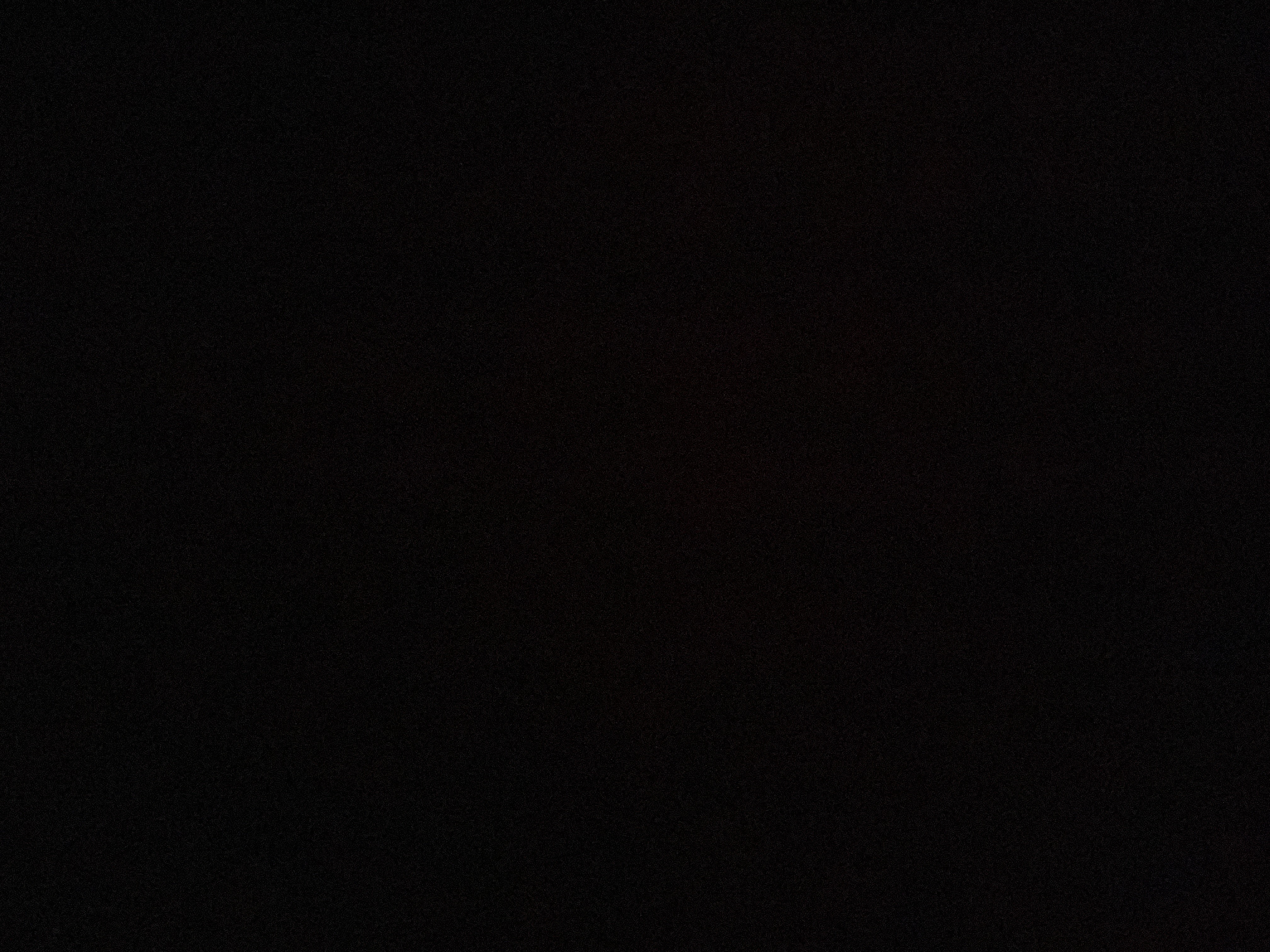 Profile image of Ashleigh