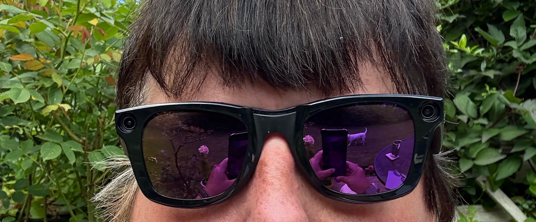 Profile image of Alison Meehan 