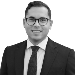 legal expert Kane Robin