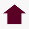 Morton Pacitti LLP