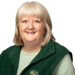 Reply by profile image of Christine Davies