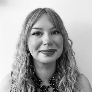 The Employment Solicitor