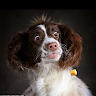 Profile image of Sally
