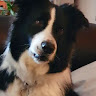 Profile image of Kenny