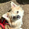 Profile image of Jacky