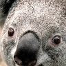Profile image of Christine