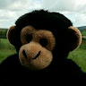 Avatar of Julian Julian