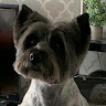 Profile image of Neil