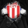 Avatar of stoke stoke