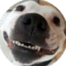 Profile image of Mr. Bump