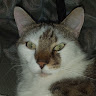 Profile image of Robert